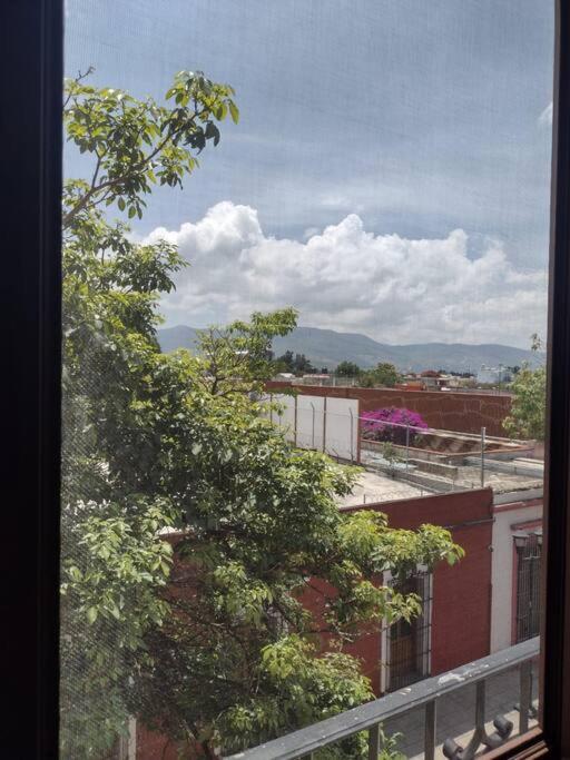 M1010 Agradable Departamento Centrico En Oaxaca Appartement Buitenkant foto